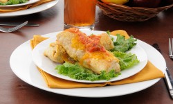 Etiam dictum egestas